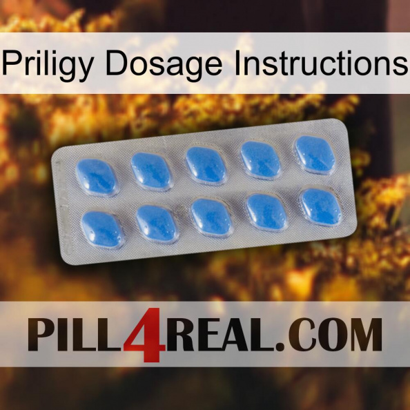 Priligy Dosage Instructions 22.jpg